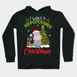 I Want A Hippopotamus For Christmas Cute Gift Xmas Costume Hoodie